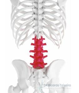CID em Coluna - Dr. Ricardo Teixeira